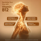 WeightWorld Vitamina B12 1000 mcg - 450 Comprimidos - Metilcobalamina Activa - Vegano, No-GMO - 1+ Año de Suministro