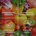 Nature's Sunshine Super Supplemental: Multivitamínico Completo con Minerales y Hierbas, 120 Comprimidos