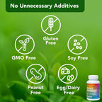 Vital Plan Daily Herbal Supplement - Suplemento Herbario con Reishi, Cúrcuma y Rhodiola