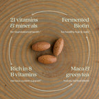New Chapter Energy Multivitamin con Vitaminas B, D3 y Hierbas, 96 comprimidos