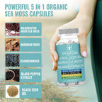 Cápsulas de Musgo Marino Orgánico 3000mg + Aceite de Semilla Negra 1000mg + Raíz de Bardana + Fucus - 120 Cápsulas Veganas