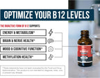 BioActive Vitamin B12 1000 mcg | 3 Formas Bioactivas B12 + Metilfolato - Metil B12, Adenosil B12 e Hidroxi B12 | Sublingual, Sabor Cereza, Orgánico, Vegano (180 Servicios)