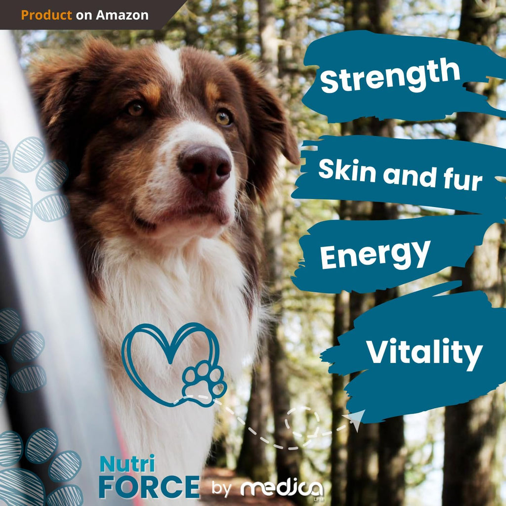 NutriForce 44-in-1 Multivitamínico para Perros - 120 Comprimidos Masticables