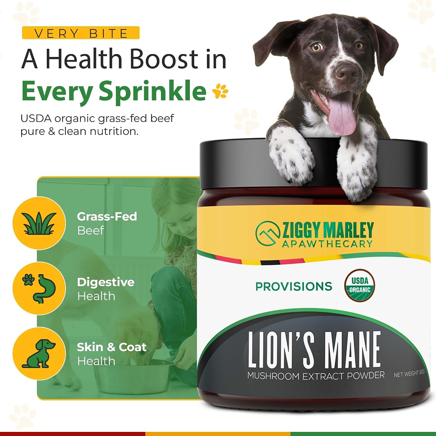 Polvo de Melena de León Orgánico para Perros y Gatos – Apoyo Cognitivo – Extracto de Cuerpo Fructífero Orgánico USDA, 45 Dosis