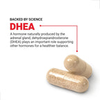 Force Factor DHEA 50mg, 100 Cápsulas Vegetales para Apoyar el Equilibrio Hormonal