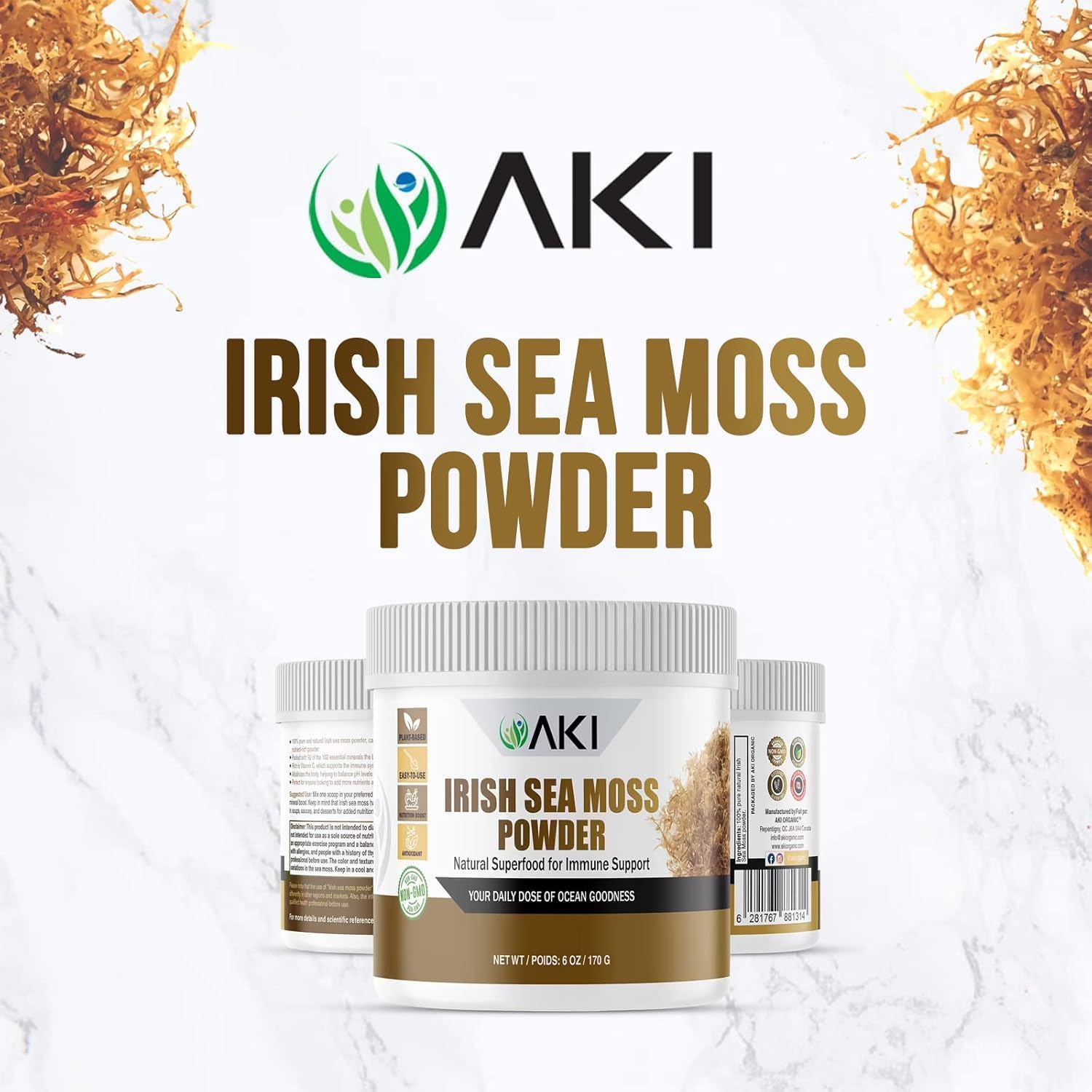 Polvo de Irish Sea Moss (170g) - AKI