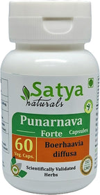 Punarnava Forte Cápsula 500 mg - 60 Cápsulas Vegetarianas | Extracto de Punarnava (Boerhaavia Diffusa) 10:1