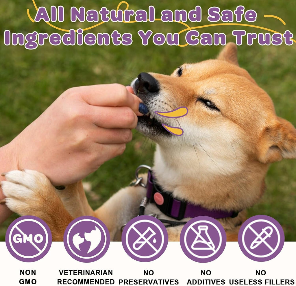 Probióticos para Perros – 6 Billones de UFC y 10 Cepas con Prebióticos, Omega-3, Enzimas Digestivas y Multivitaminas, Masticables Sabor Pato para Salud Digestiva e Inmune, 120 Chews