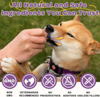 Probióticos para Perros – 6 Billones de UFC y 10 Cepas con Prebióticos, Omega-3, Enzimas Digestivas y Multivitaminas, Masticables Sabor Pato para Salud Digestiva e Inmune, 120 Chews
