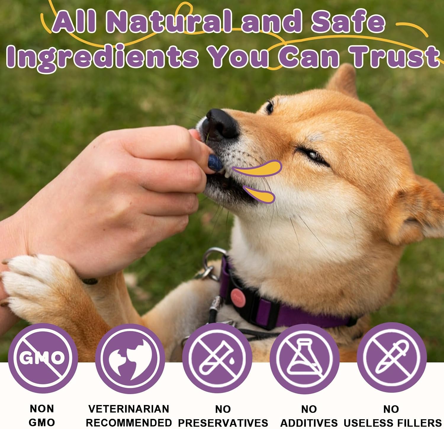 Probióticos para Perros – 6 Billones de UFC y 10 Cepas con Prebióticos, Omega-3, Enzimas Digestivas y Multivitaminas, Masticables Sabor Pato para Salud Digestiva e Inmune, 120 Chews