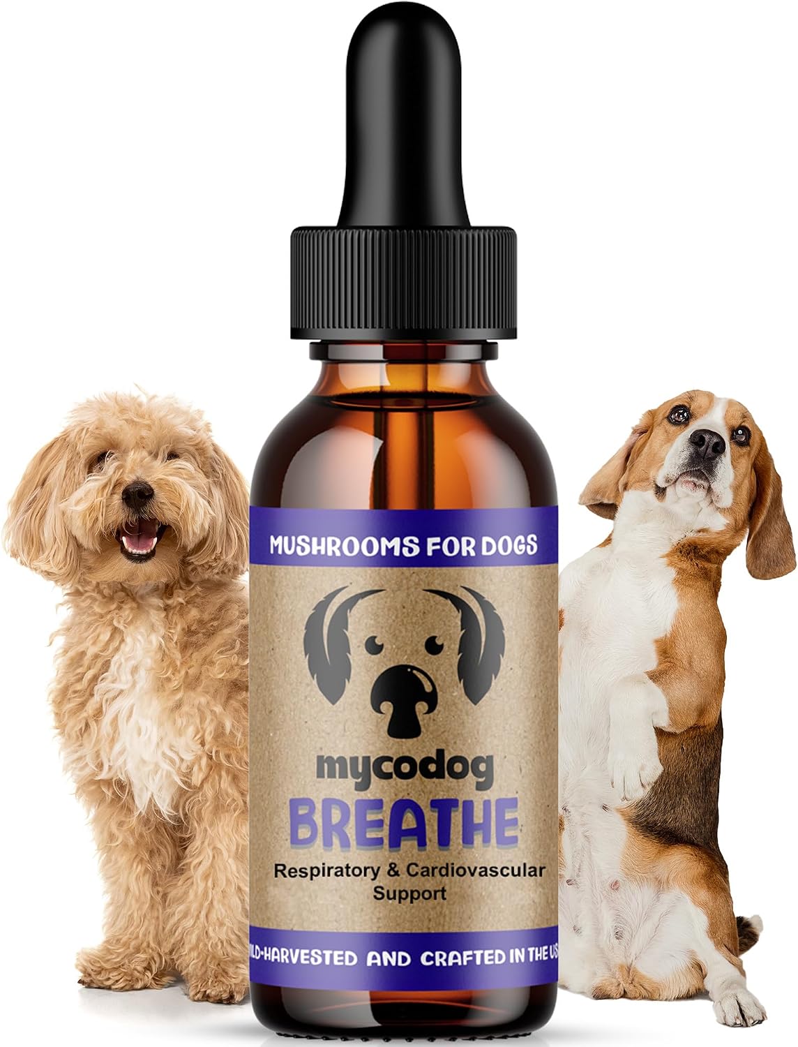 MycoDog Breathe - Gotas de apoyo respiratorio para perros - Confort respiratorio y salud de las vías respiratorias - Para Bulldogs Franceses, Pugs y razas de hocico plano - Mezcla natural de hongos y ashwagandha