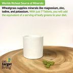 On Target Living Wheatgrass Tabletas Orgánico - 500 Comprimidos