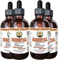 Hawaii Pharm Extracto Líquido de Cola de Caballo (Equisetum arvense) - 4x118 ml