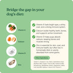Multivitamínico Diario para Perros | 60 Masticables Blandos con Vitaminas y Minerales