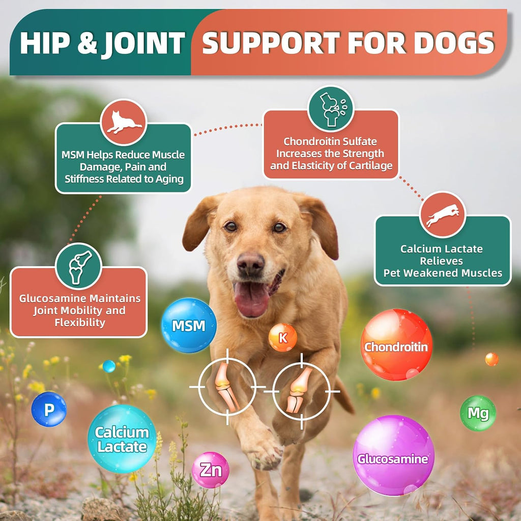 Multivitamínico para perros con glucosamina, omega 3, minerales, probióticos y enzimas - 120 masticables sabor pollo