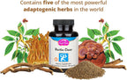 Dragon Herbs Perilla Clear Cápsulas – 60 cápsulas de 500 mg