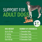 Petnc Adult Multi Chewables Multivitamin for Dogs, 75 Count, Liver Flavor