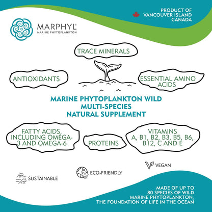 MARPHYL Marine Phytoplankton Wild Multi – La vitamina E contribuye a la protección de las células frente al daño – Image 4