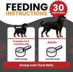 Probióticos para Perros – Suplemento Digestivo Natural para Rottweilers y Razas Grandes