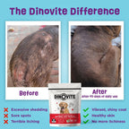 Dinovite Probióticos para Perros Grandes (45+ lb) - Complemento en Polvo con Omega-3, 30 Raciones