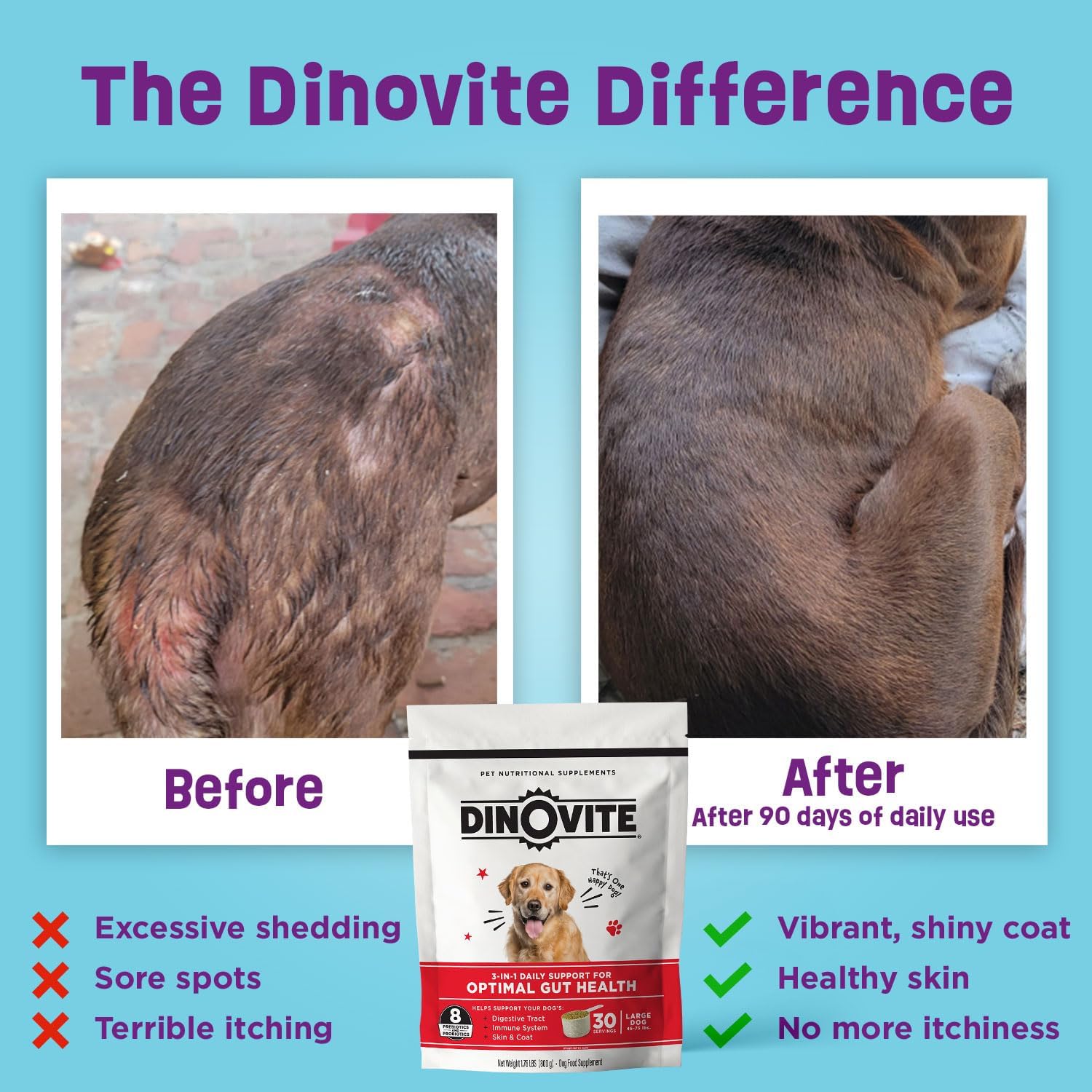 Dinovite Probióticos para Perros Grandes (45+ lb) - Complemento en Polvo con Omega-3, 30 Raciones