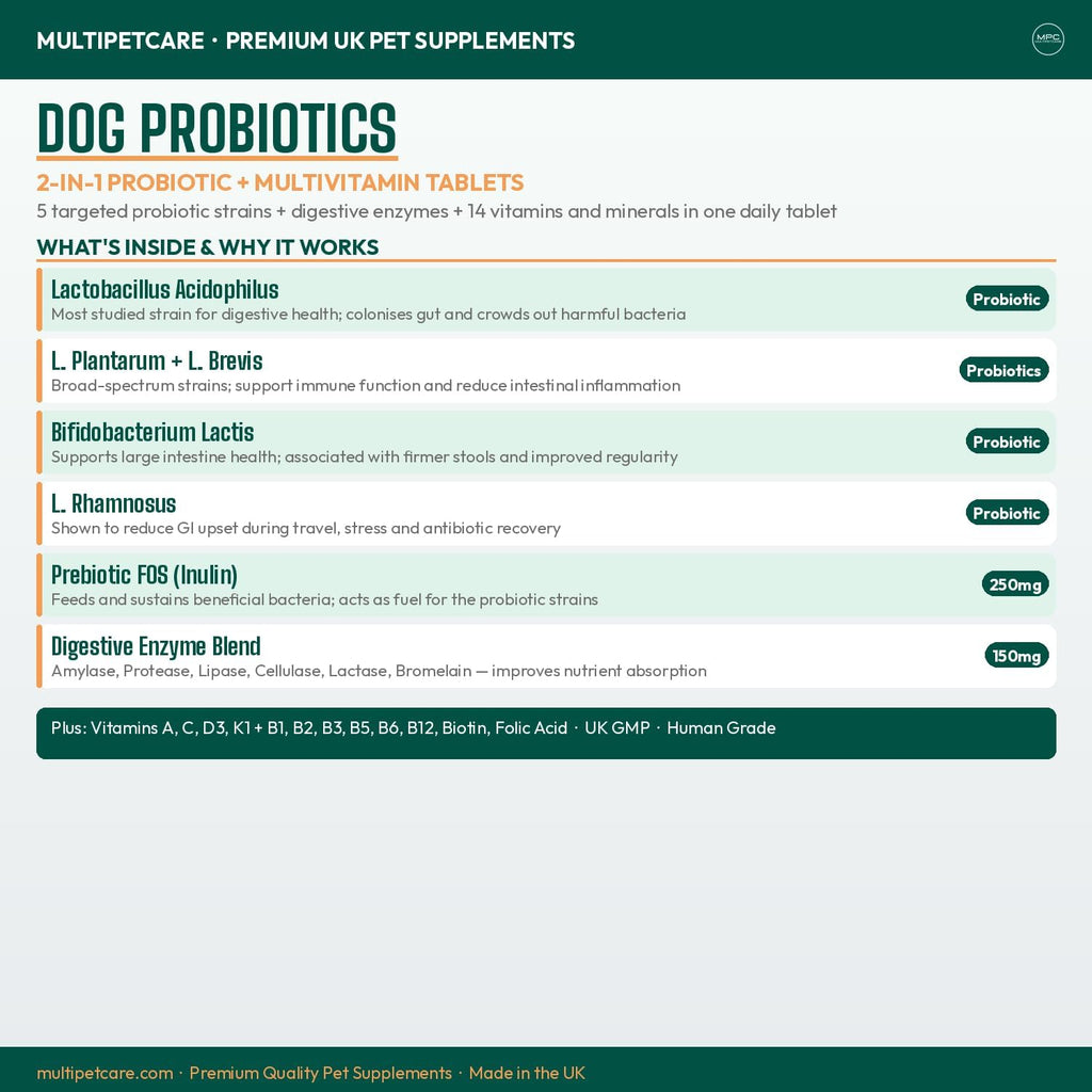 Multipetcare Probióticos para Perros – 5 Cepas, 2 Mil Millones UFC + Enzimas Digestivas y Prebióticos | Salud Digestiva, Heces Firmes, Menos Gases | con Vitaminas del Grupo B | Sabor a Pollo | 120 Comprimidos