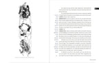 The Art of the Straight Line: My Tai Chi