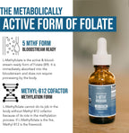 Organic Methyl Folate 1000 mcg + Methyl B12 Cofactor – Metilfolato Activo 5-MTHF, Sabor Baya Orgánica, Líquido Sublingual (1 oz)