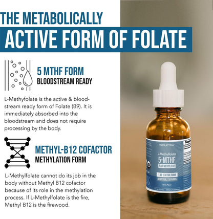 Organic Methyl Folate 1000 mcg + Methyl B12 – El metabolismo normal de la homocisteína.* – Image 3