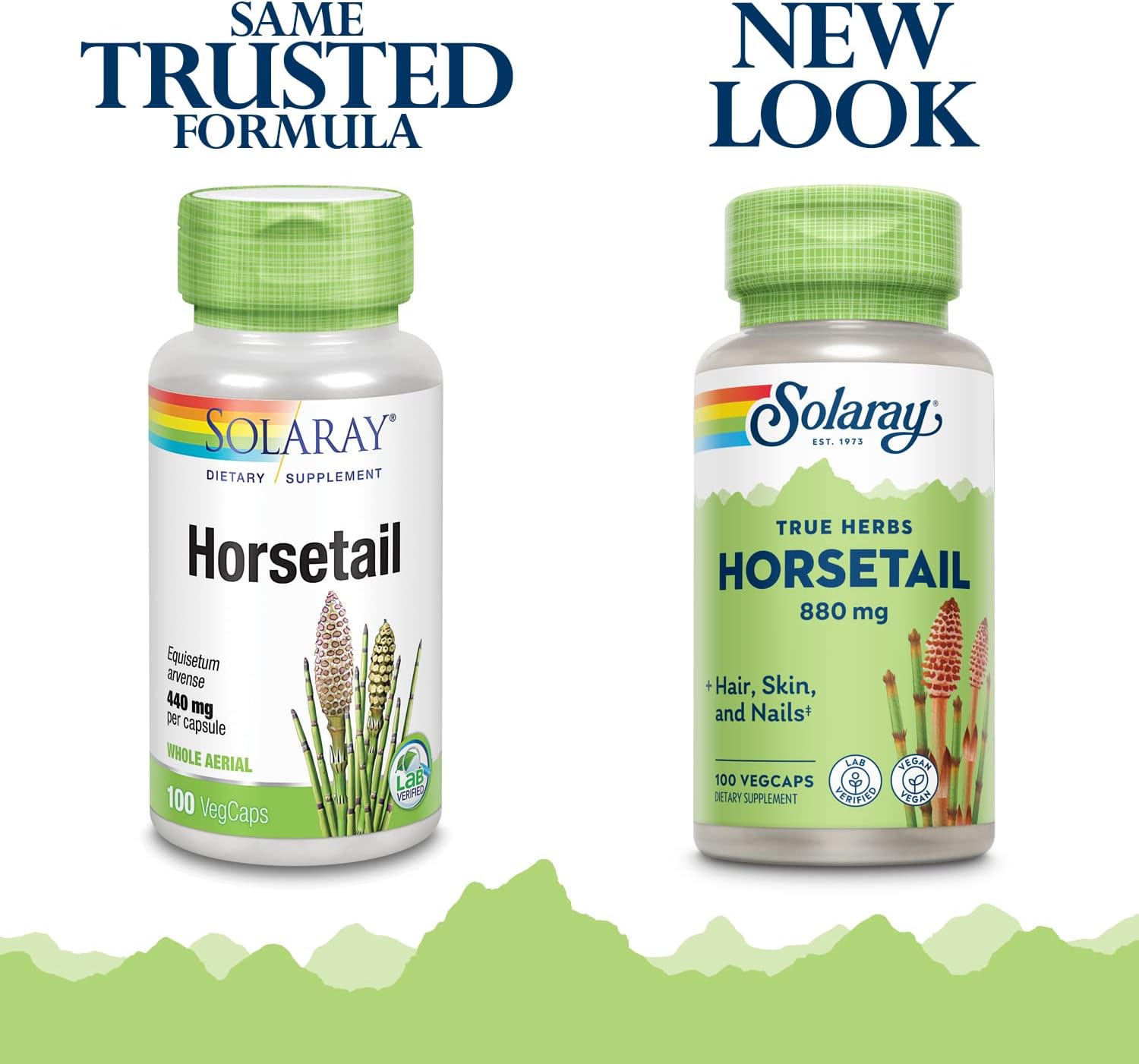 Solaray Cola de Caballo 880 mg - Suplemento con Sílice Natural - 100 Cápsulas Veganas