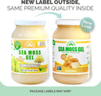 Gel de Musgo Marino Irlandés Salvaje - EverSmith Organics - Sin Sabor (1 Frasco)