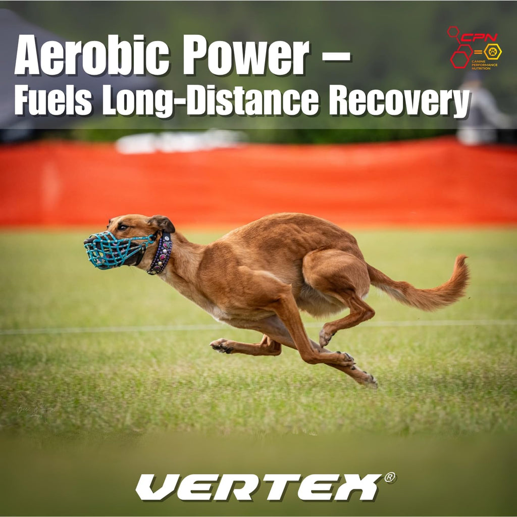 Vertex Canine Essentials - Suplemento de Alto Rendimiento para Perros Activos y de Cría (10 lbs)