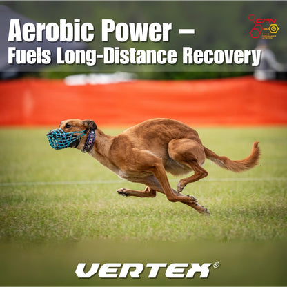 Vertex Canine Essentials - Suplemento de – Perros gigantes (más de 45 kg) o necesidades elevadas: hasta 4 – Image 7