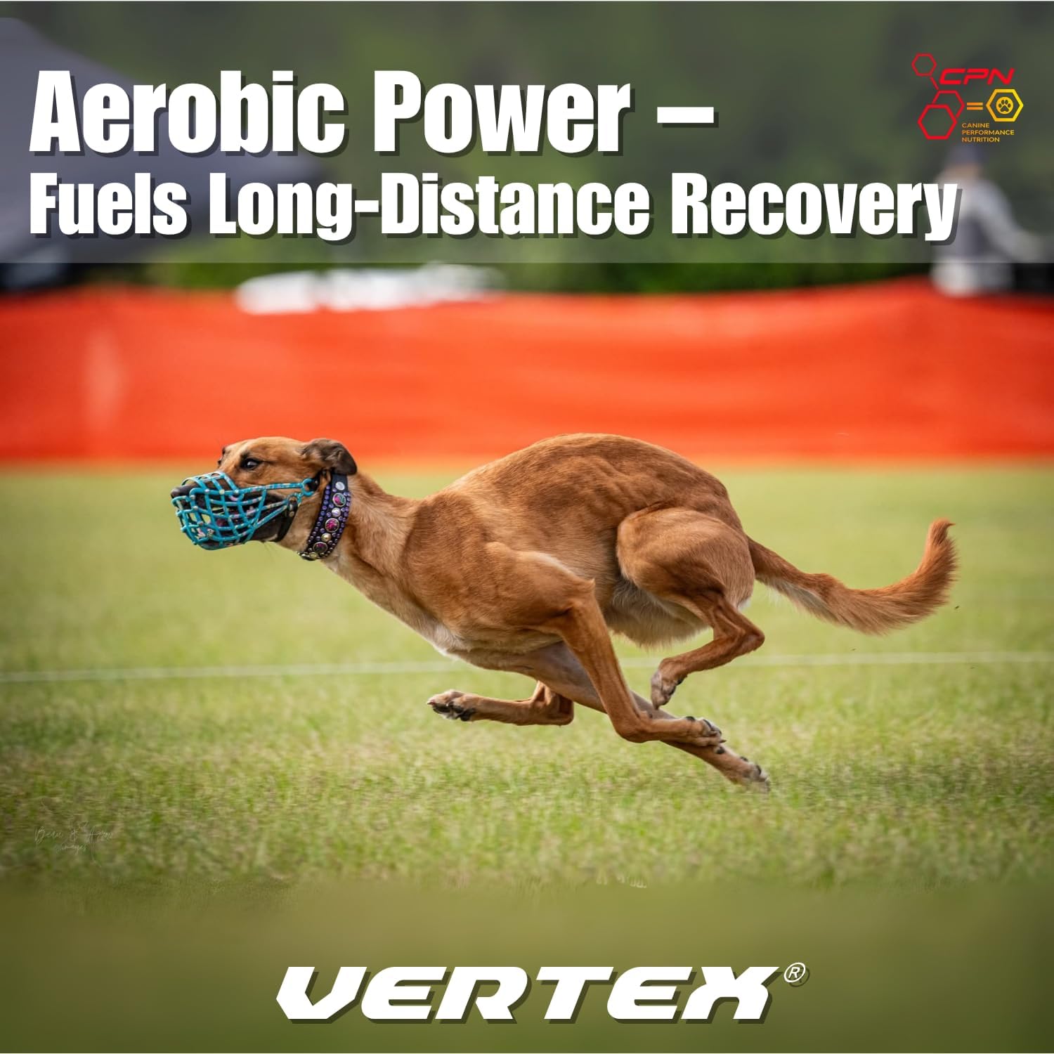 Vertex Canine Essentials - Suplemento de Alto Rendimiento para Perros - 10 lbs