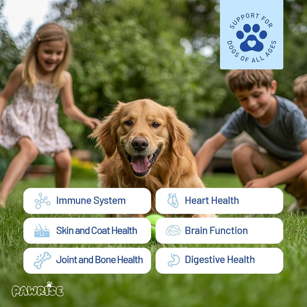 PawRise Multivitamínico Completo para Perros – Apoyo para Articulaciones, Piel, Digestión e Inmunidad – 150 Comprimidos Masticables Sabor Pollo