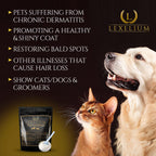 Lexelium Suplemento para la Piel y el Pelo de Perros y Gatos - Fórmula en Polvo Natural 200g