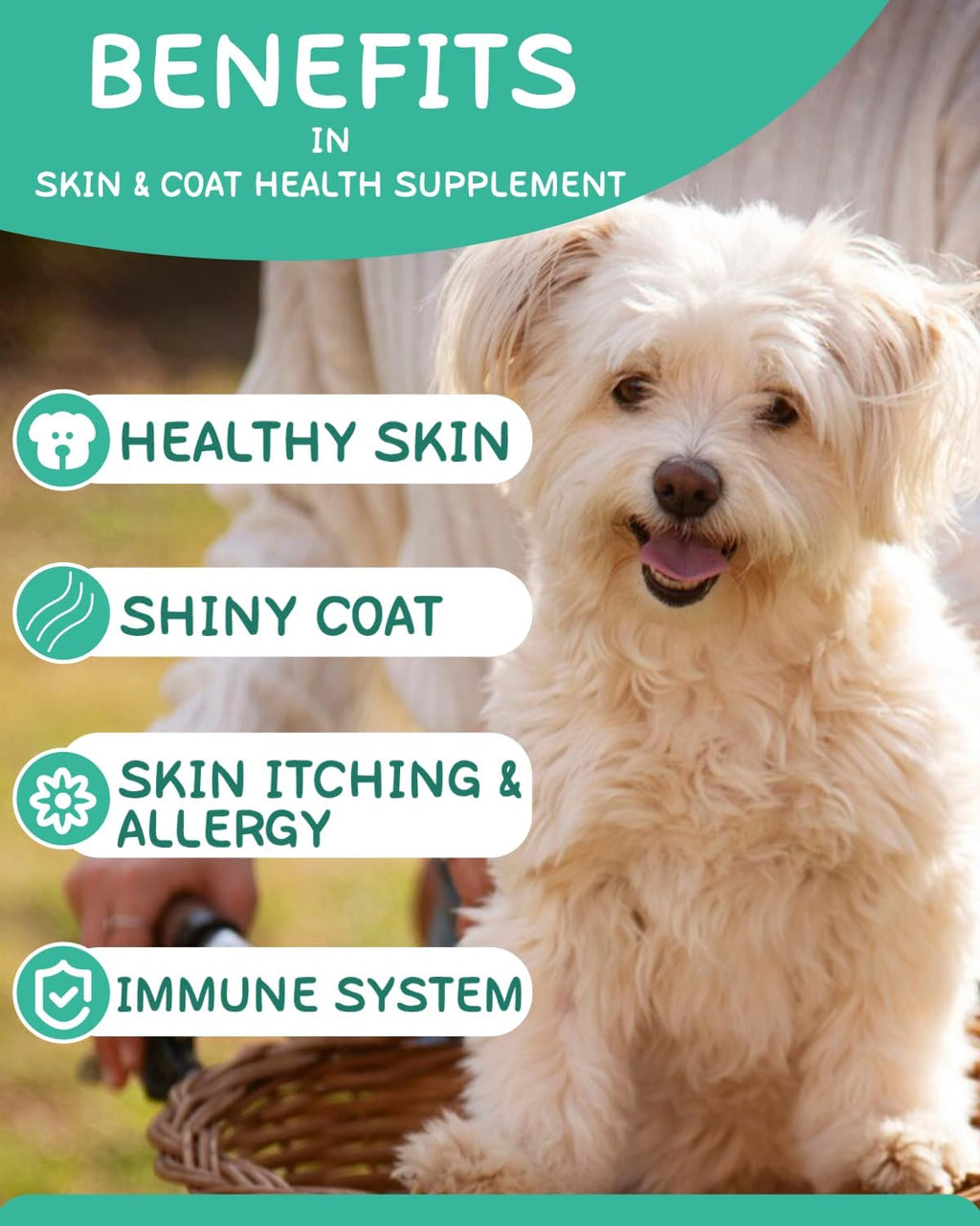 Omega 3 para Perros - 120 Chews de Aceite de Salmón con Vitaminas
