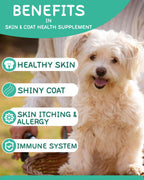 Omega 3 para Perros - 120 Chews de Aceite de Salmón con Vitaminas