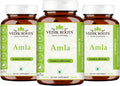 VEDIKROOTS Amla Cápsulas 100% Orgánicas - Potenciador de Inmunidad - Fuente Natural de Vitamina C - Suplemento Herbal (60 Cápsulas, Pack de 3)