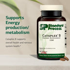 Standard Process Cataplex B – B Complex para el Corazón y el Sistema Nervioso (360 comprimidos)