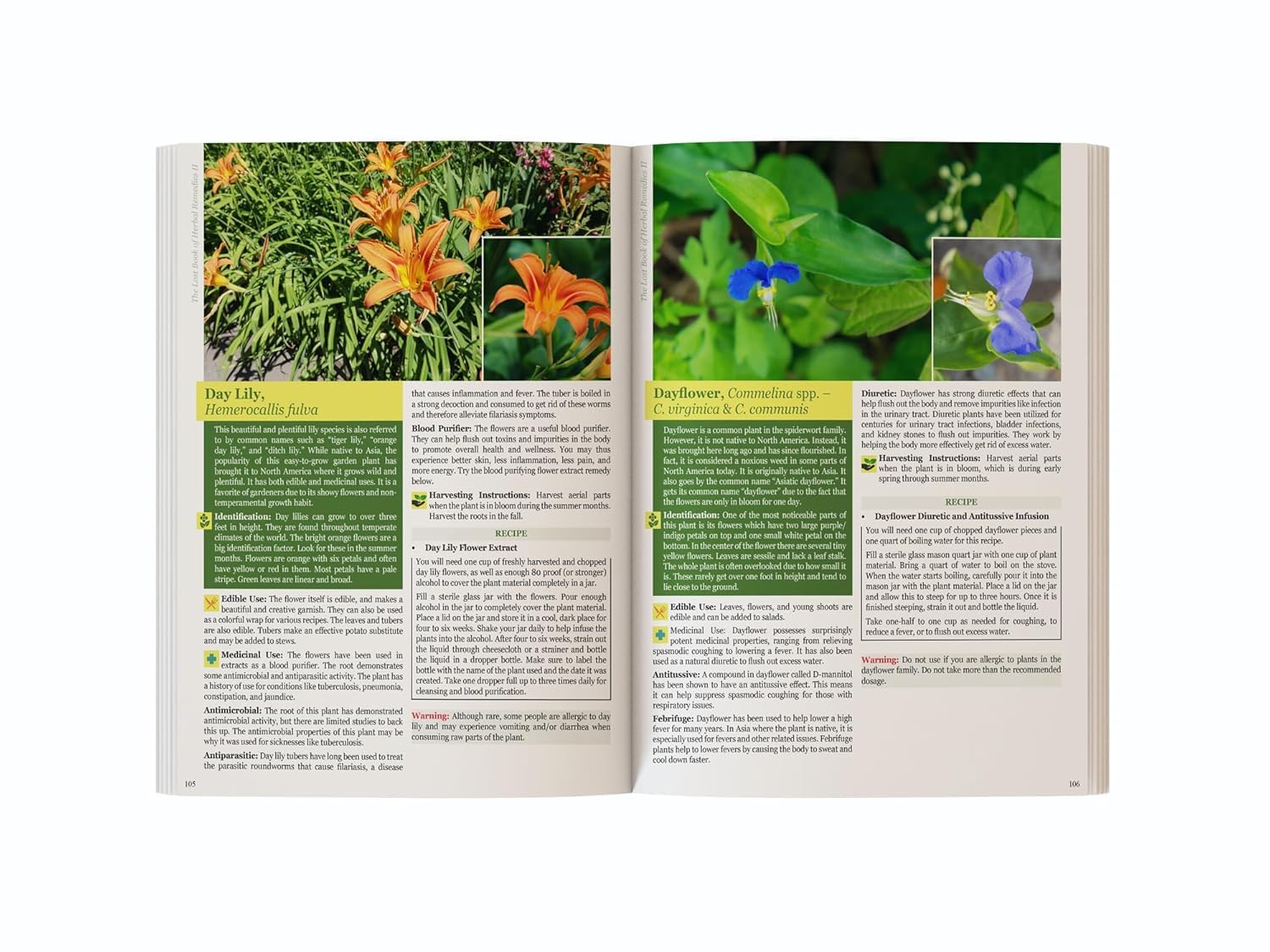 The Lost Book of Herbal Remedies II