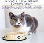 Rx Vitamins NutriGest - Probióticos para Perros y Gatos - Salud Digestiva - 4.65 oz (132 g)