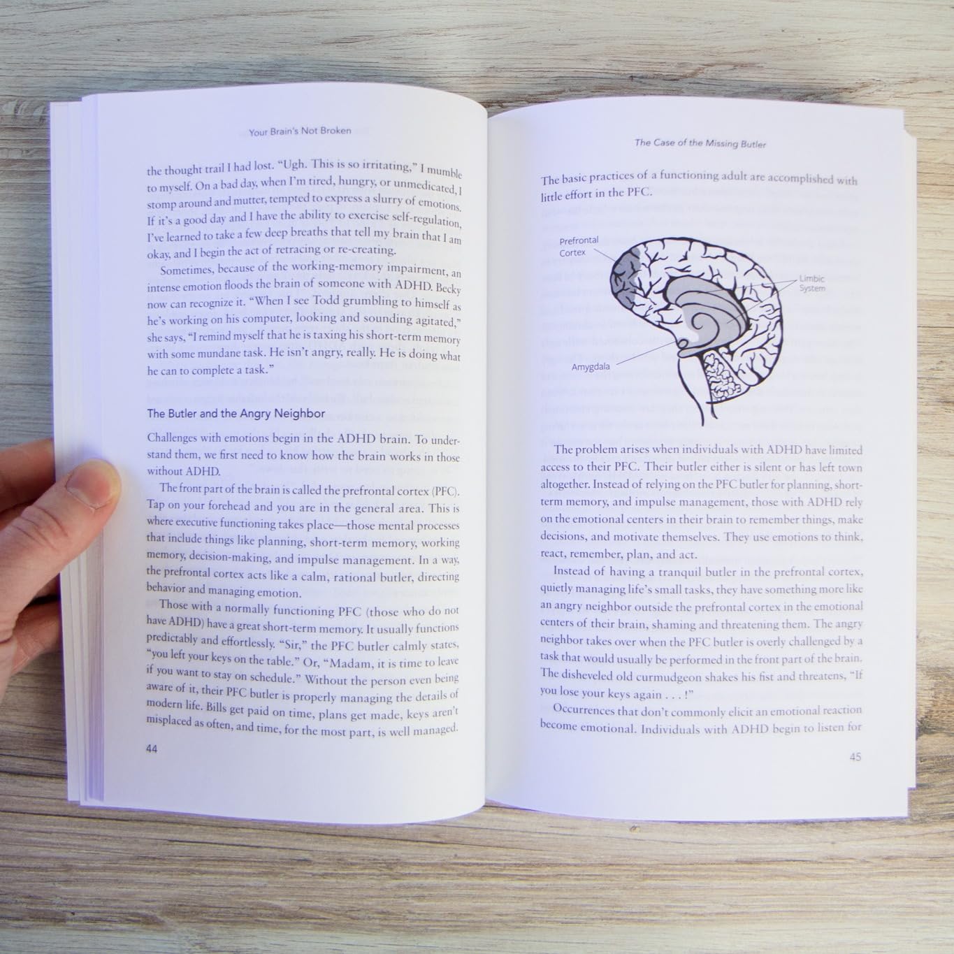 Your Brain's Not Broken: Strategies for Navigating Your Emotions and Life with ADHD
