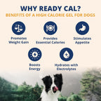 Under the Weather Ready Cal Plus Gel para Perros - Suplemento de Alto Contenido Calórico con Electrolitos (99g)