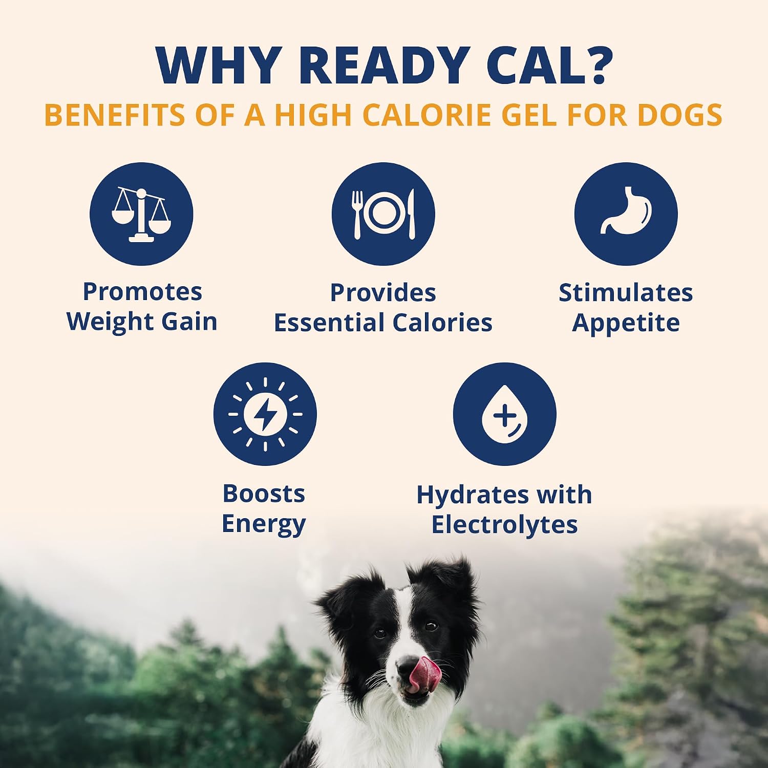 Under the Weather Ready Cal Plus Gel para Perros - Suplemento de Alto Contenido Calórico con Electrolitos (99g)