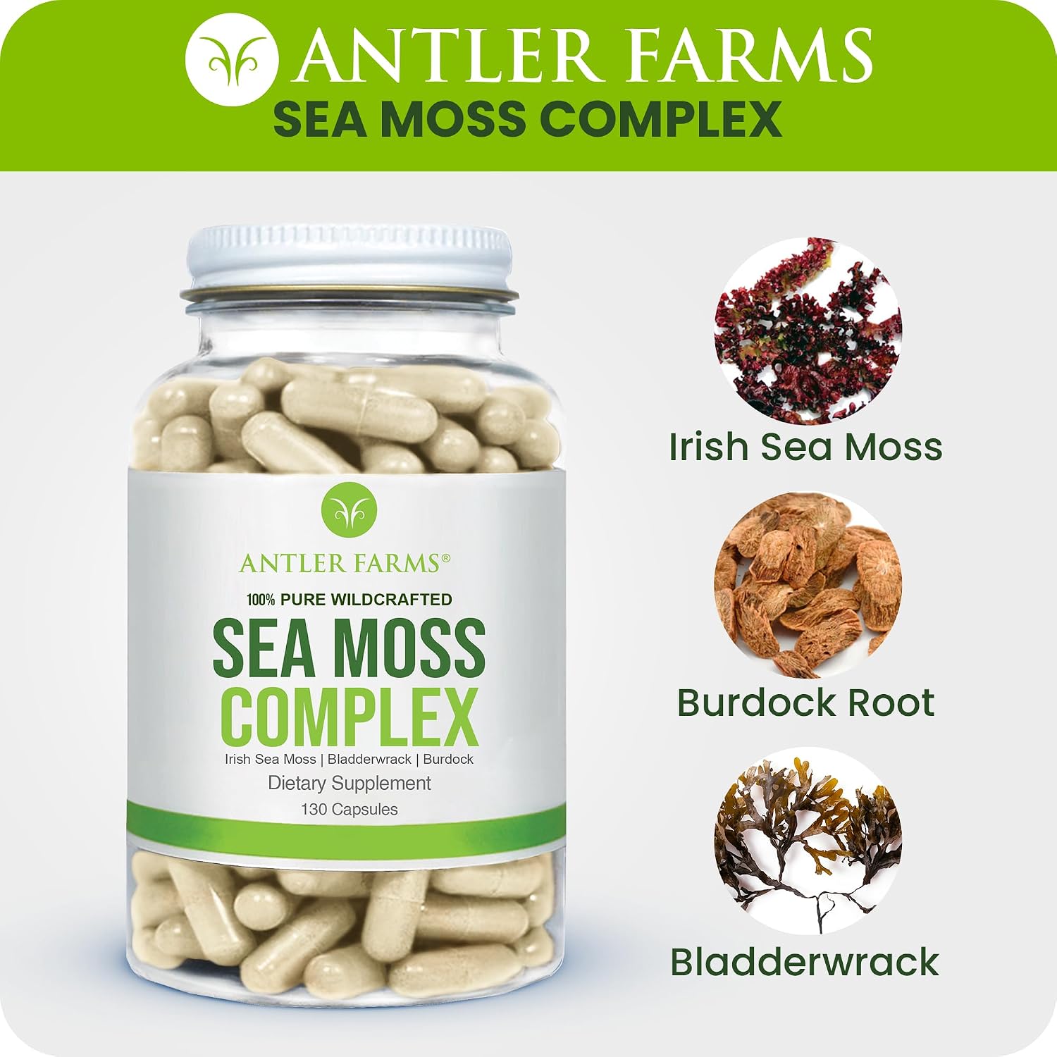 Antler Farms – Complejo de Musgo Marino Puro 130 Cápsulas – Musgo Irlandés Silvestre, Bladderwrack y Raíz de Bardana – Mezcla Potente para el Bienestar, Vegano, Sin Gluten, Soja ni Lácteos