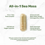 DEAL SUPPLEMENT Irish Sea Moss 240 Cápsulas Veganas – Complejo de 14 Superalimentos con Ashwagandha, Jengibre y Aceite de Semilla Negra