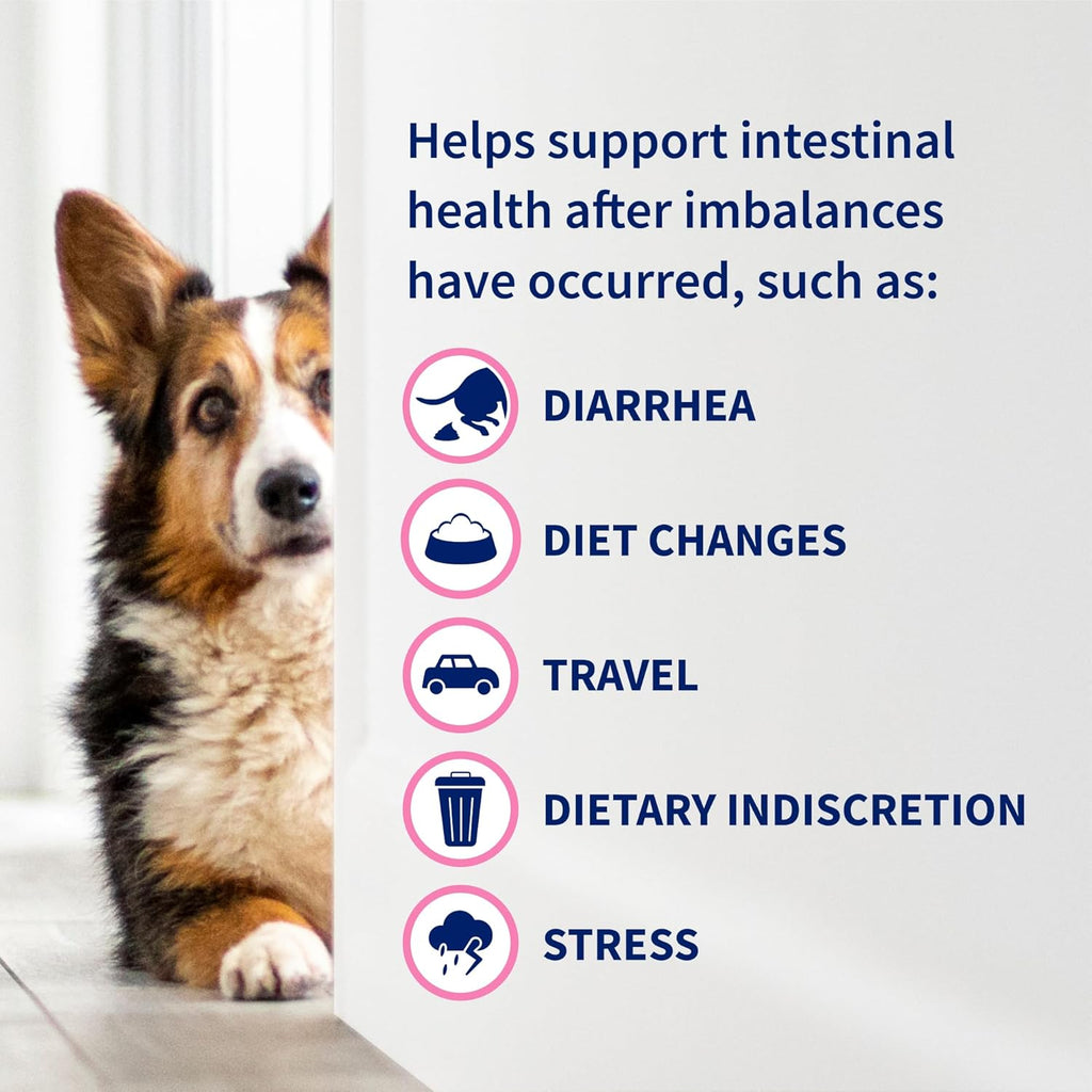 Nutramax Proviable Probióticos para Perros y Gatos, Suplemento Digestivo Diario con Múltiples Cepas Bacterianas, 30 Cápsulas