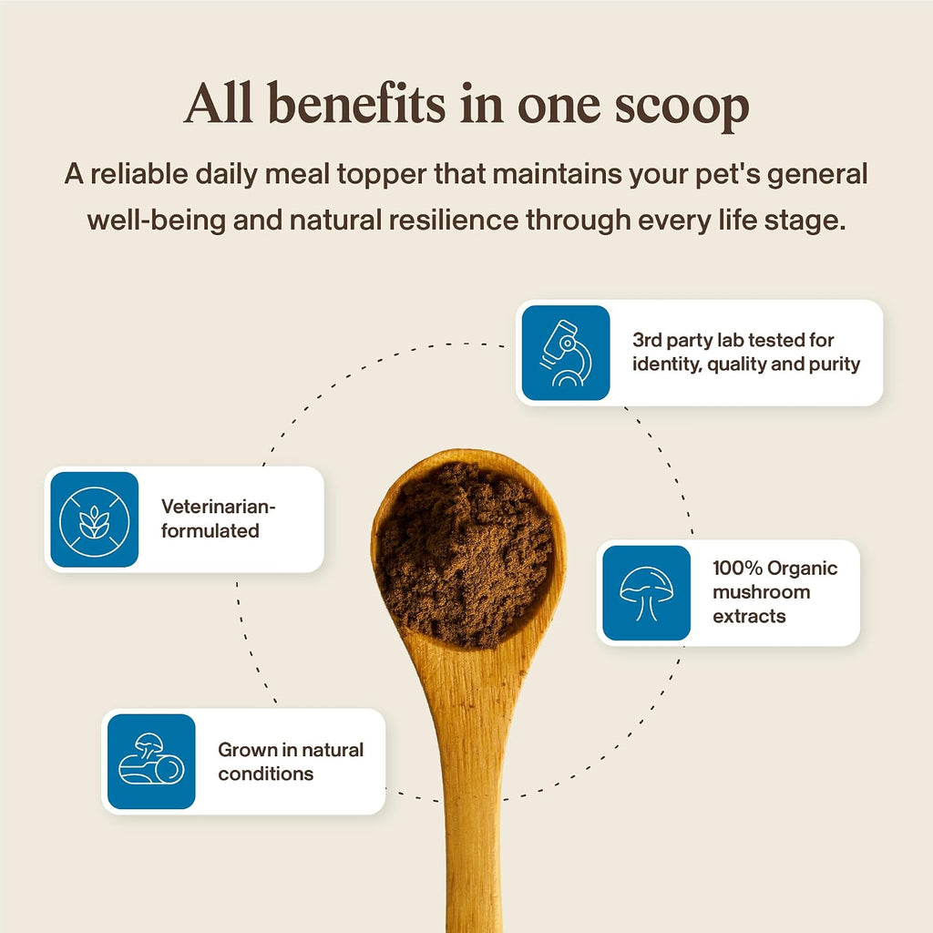 Real Mushrooms Whole Dog Health – Suplemento de hongos para perros, 75 g en polvo