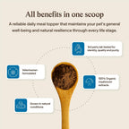 Real Mushrooms Whole Dog Health – Suplemento de hongos para perros, 75 g en polvo